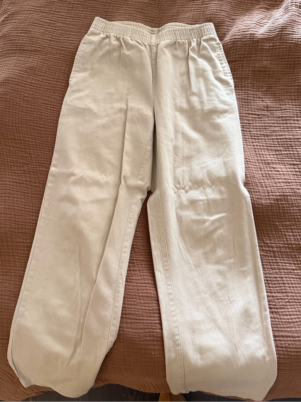 Aritzia Cotton Twill Pants